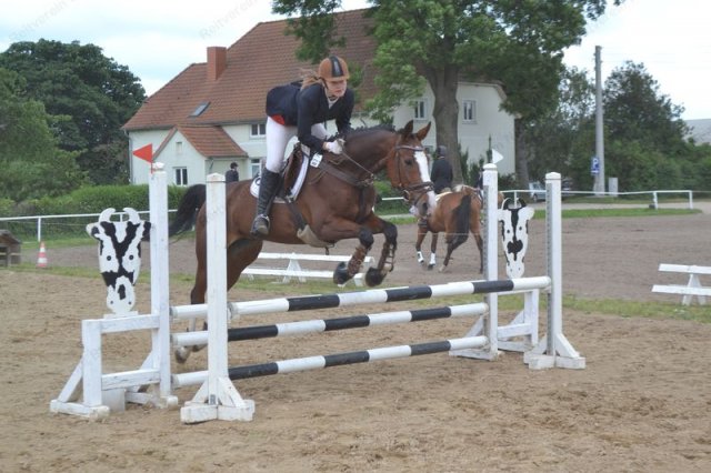 reitertag 2013 66